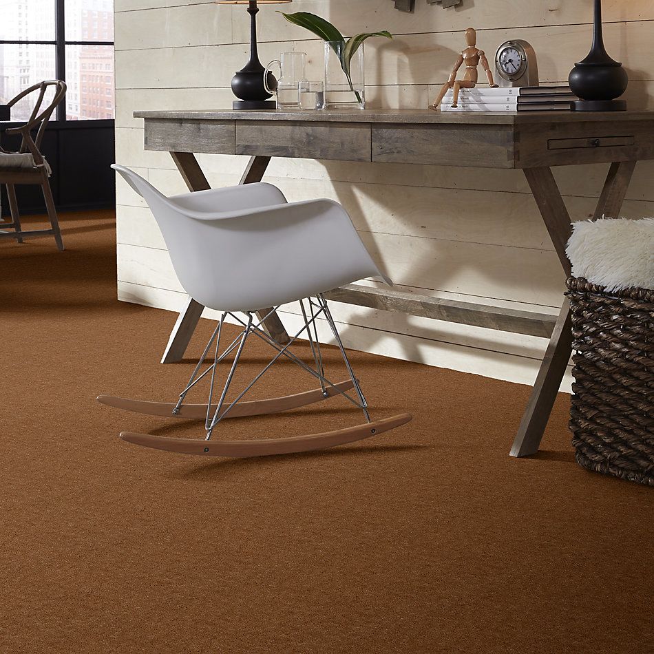 Shaw Floors Carpet Land Atherton Unspecified 29700_T6291