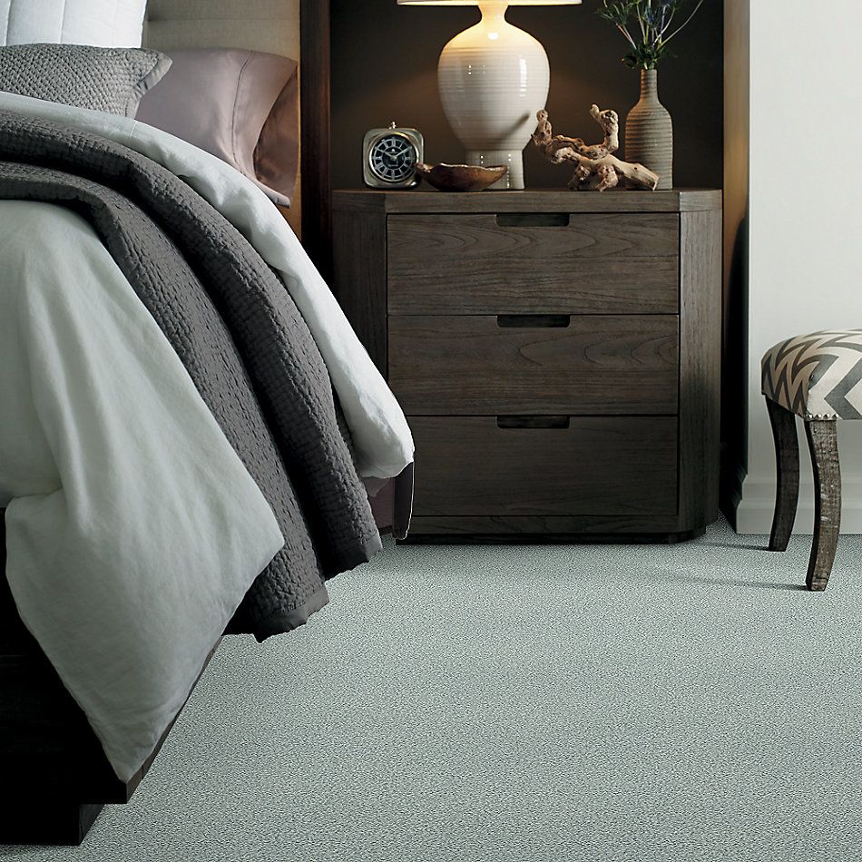 Shaw Floors SFA Fyc Tt I Net Distant Valley (t) 307T_5E021