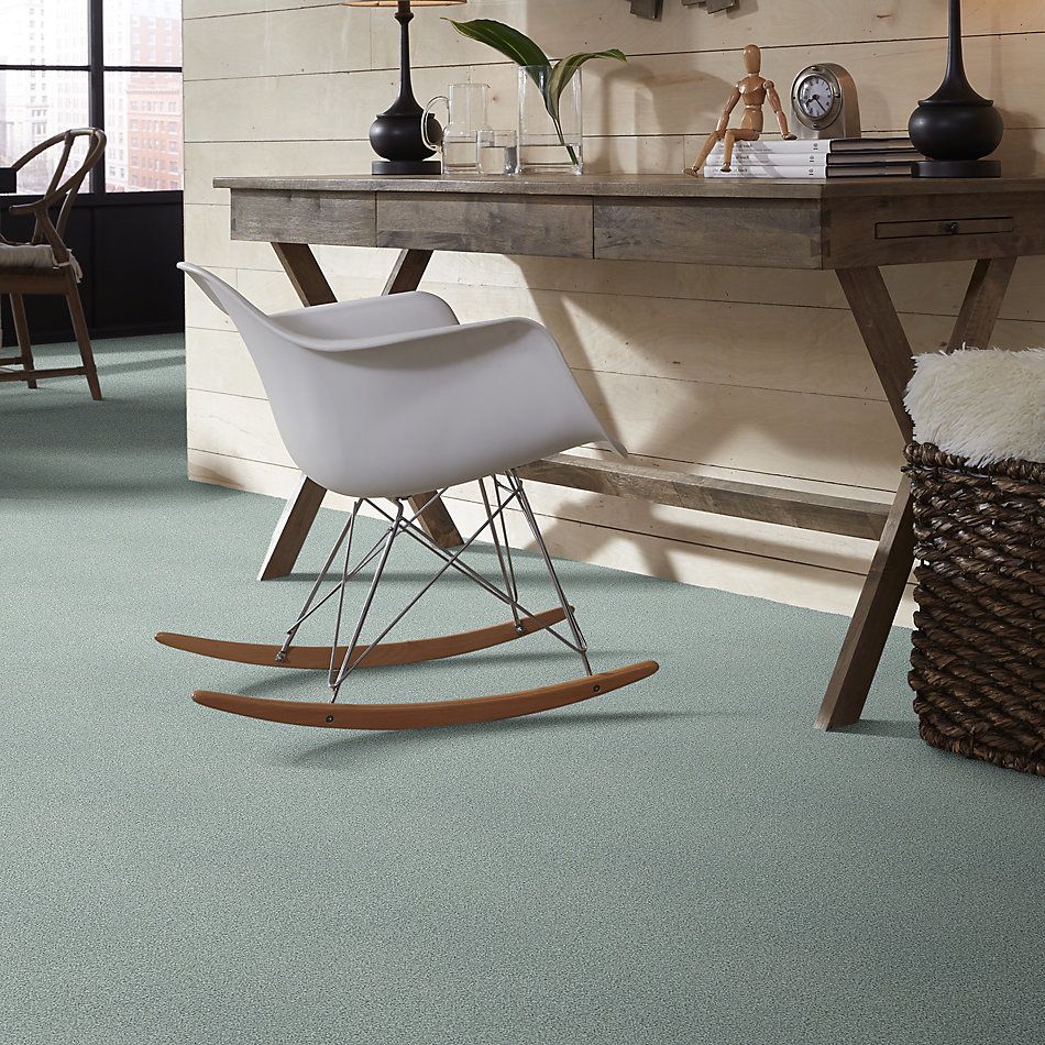Shaw Floors SFA Fyc Tt II Net Distant Valley (t) 307T_5E022