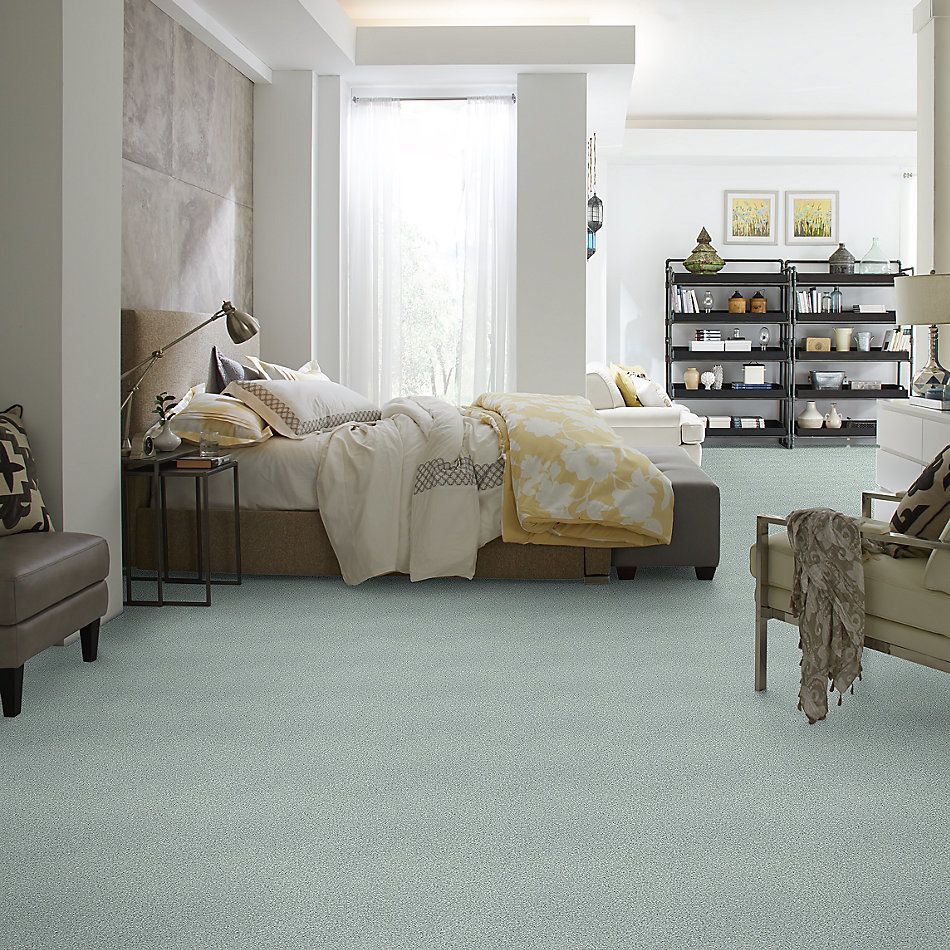 Shaw Floors SFA Fyc Tt Blue Net Distant Valley (t) 307T_5E023