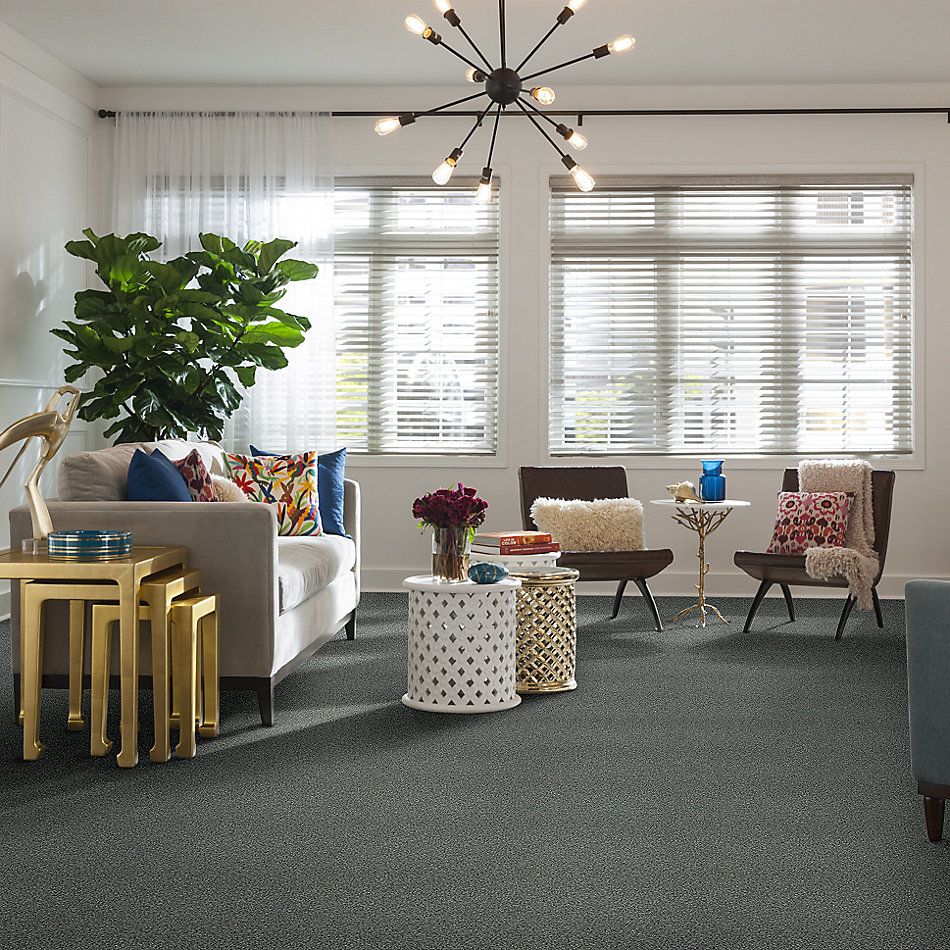 Shaw Floors SFA Fyc Tt I Net Cottage Garden (t) 308T_5E021