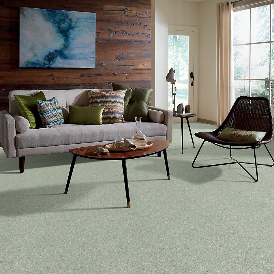 Shaw Floors SFA Find Your Comfort Ns Blue Willow Tree (s) 330S_EA816