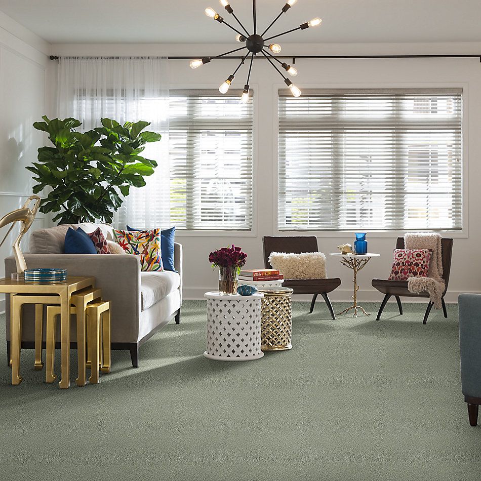 Shaw Floors SFA Fyc Tt Blue Net Willow Tree (t) 330T_5E023