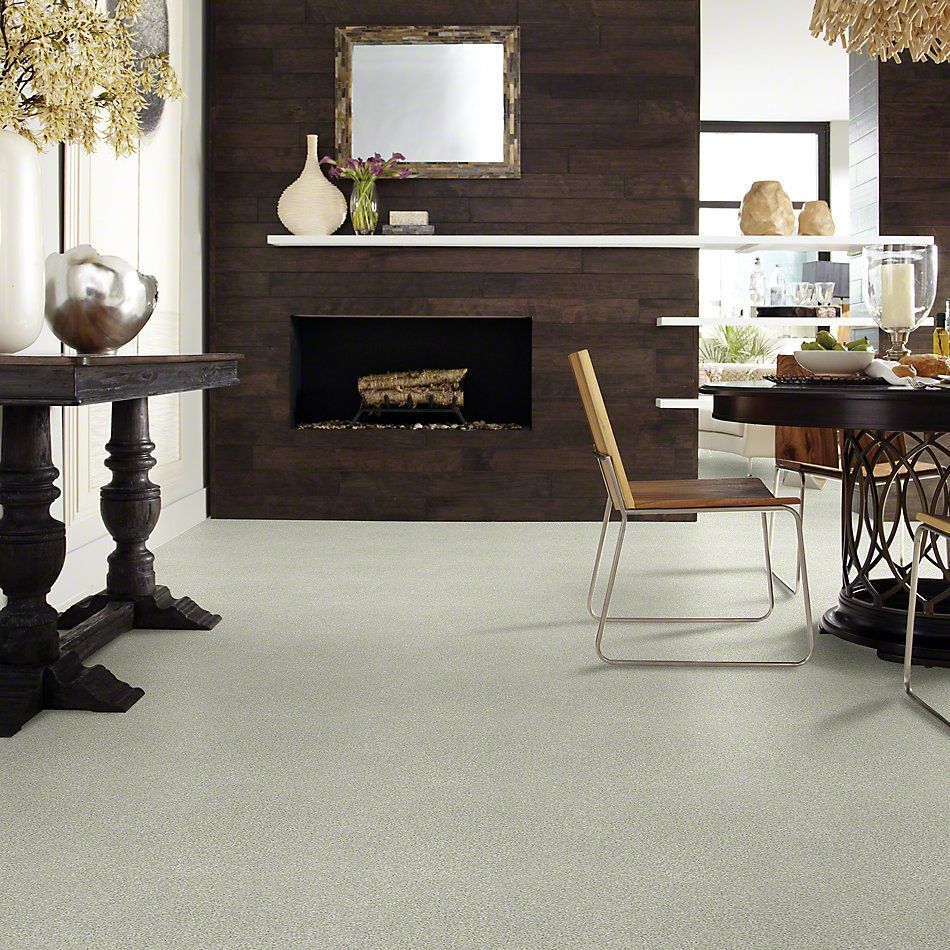 Shaw Floors SFA Find Your Comfort Tt I TEXTURE Willow Tree (t) 330T_EA817