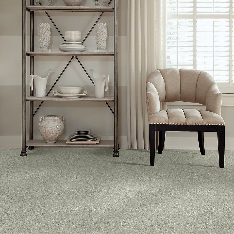 Shaw Floors SFA Find Your Comfort Tt I Willow Tree (t) 330T_EA817