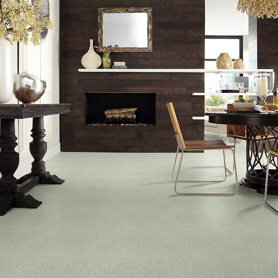 Shaw Floors SFA Find Your Comfort Tt Blue Willow Tree (t) 330T_EA819
