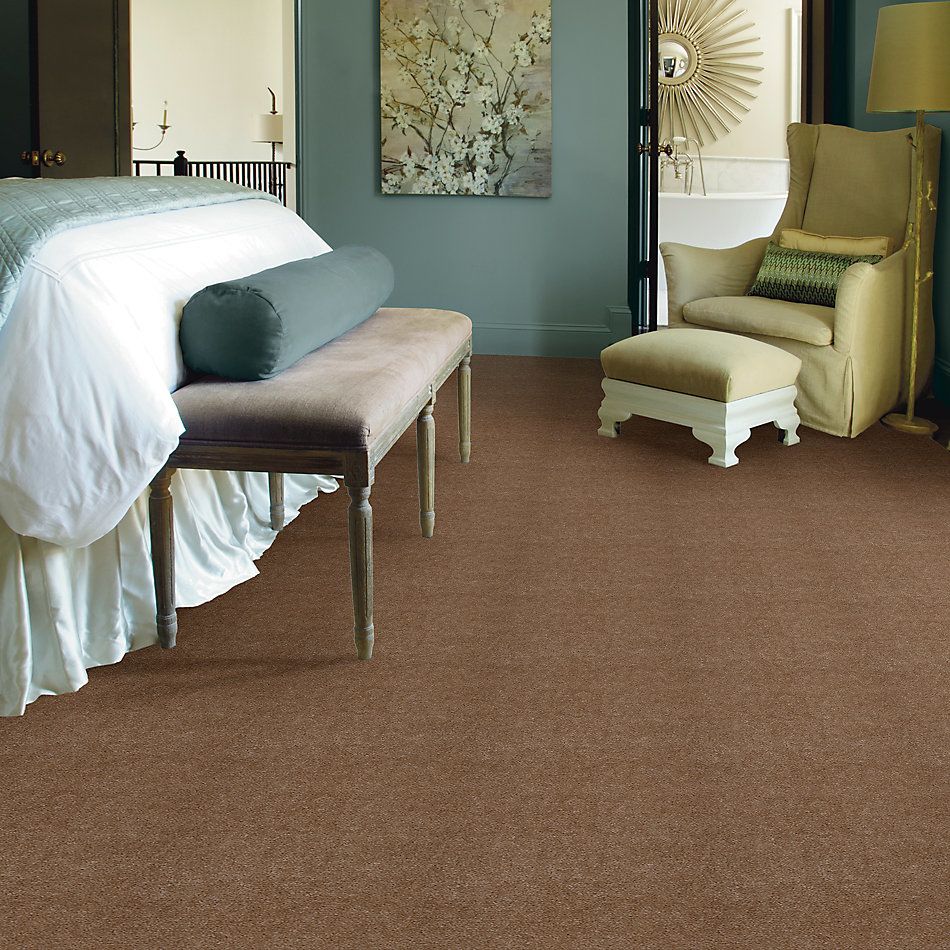 Shaw Floors Carpet Max Sugarbush Tea Tan 38177_T8238