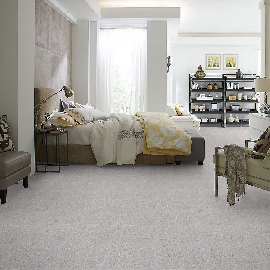 Shaw Floors Carpet Max Sugarbush Reflection 38507_T8238