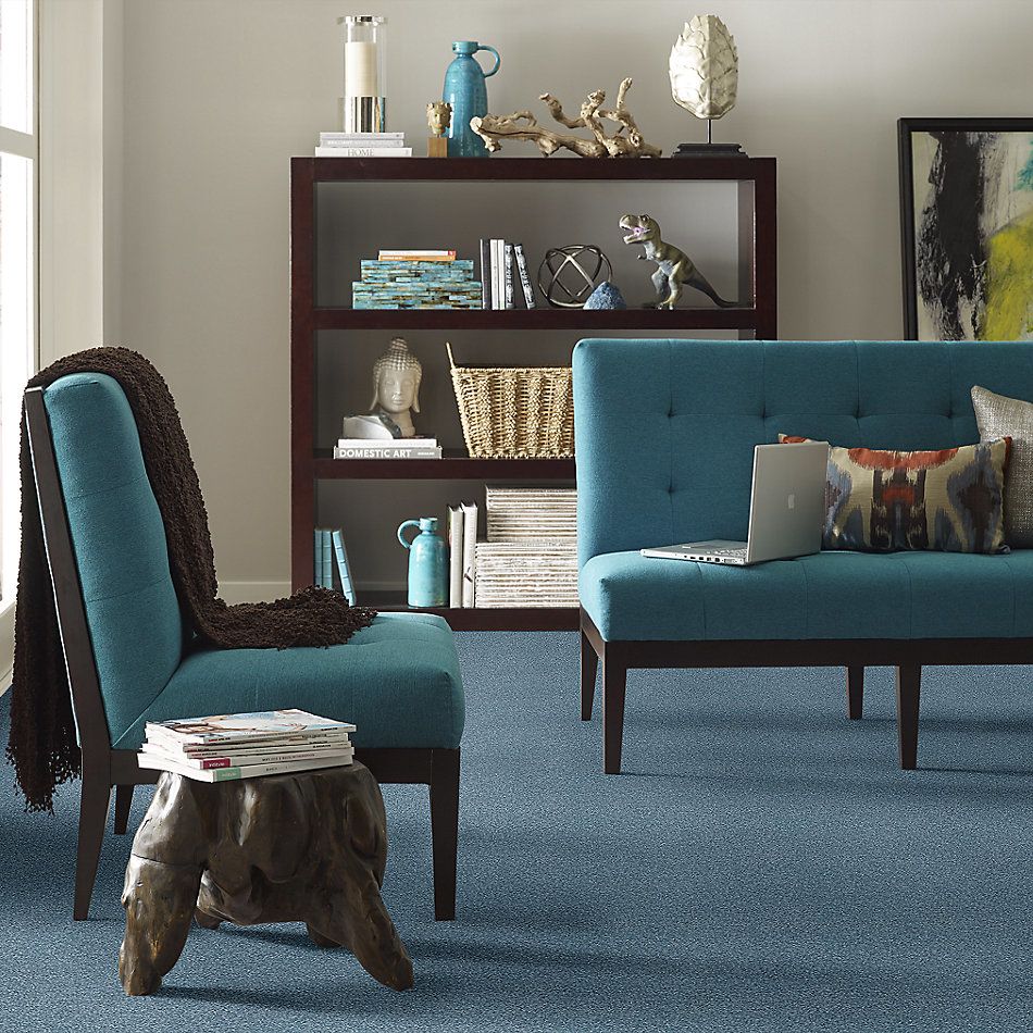 Shaw Floors SFA Fyc Ns Blue Net Lakeside Retreat (s) 413S_5E020