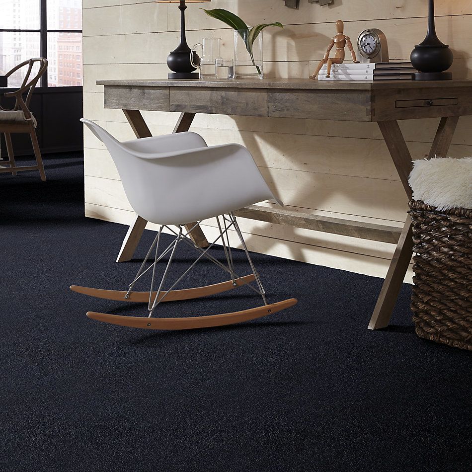 Shaw Floors SFA Fyc Ns II Net Star Gazing (s) 433S_5E019