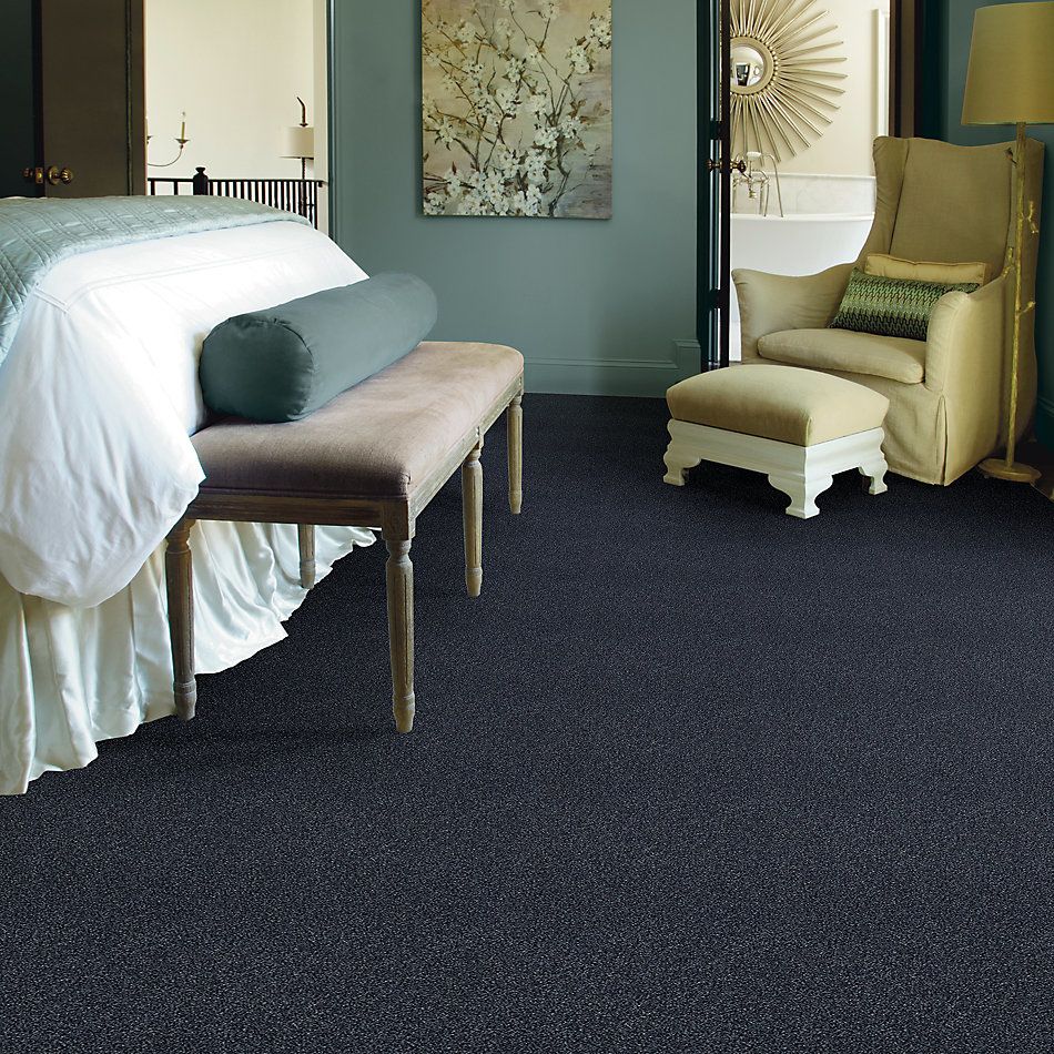 Shaw Floors SFA Fyc Tt Blue Net Star Gazing (t) 433T_5E023
