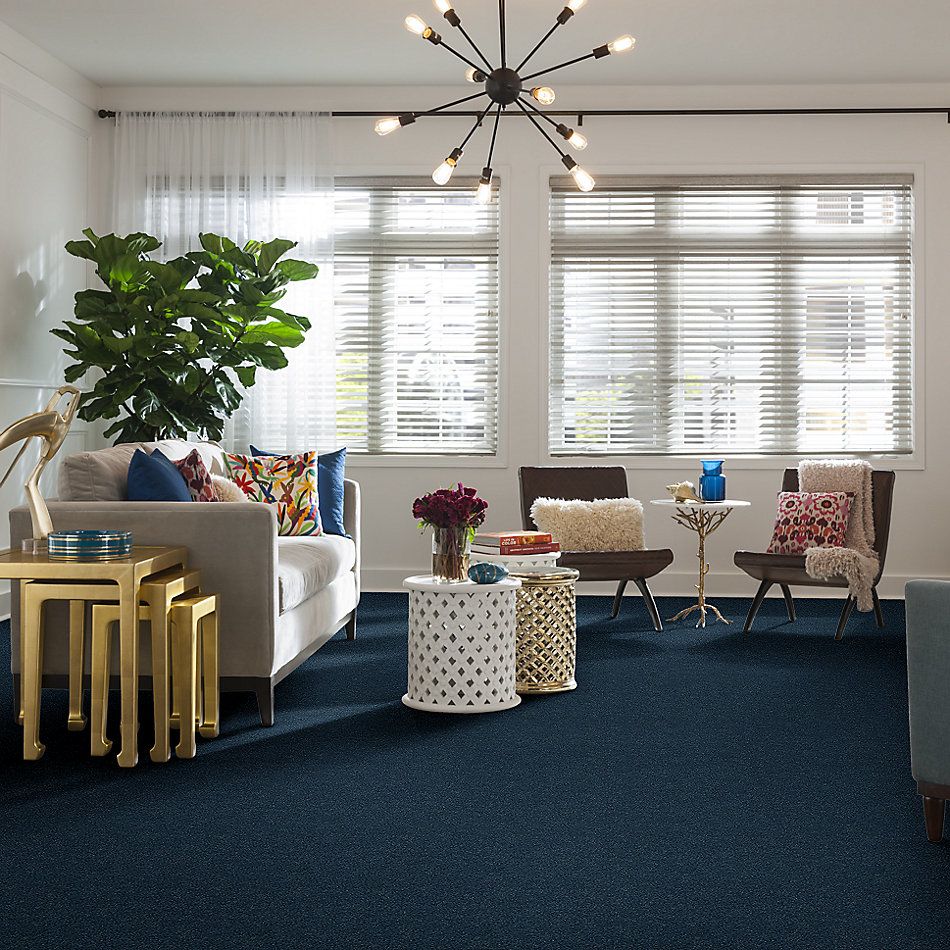 Shaw Floors SFA Fyc Ns I Net Twilight Golf (s) 434S_5E018