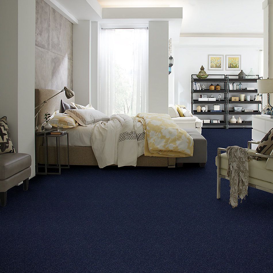 Shaw Floors SFA Fyc Ns I Net Sail Away (s) 436S_5E018