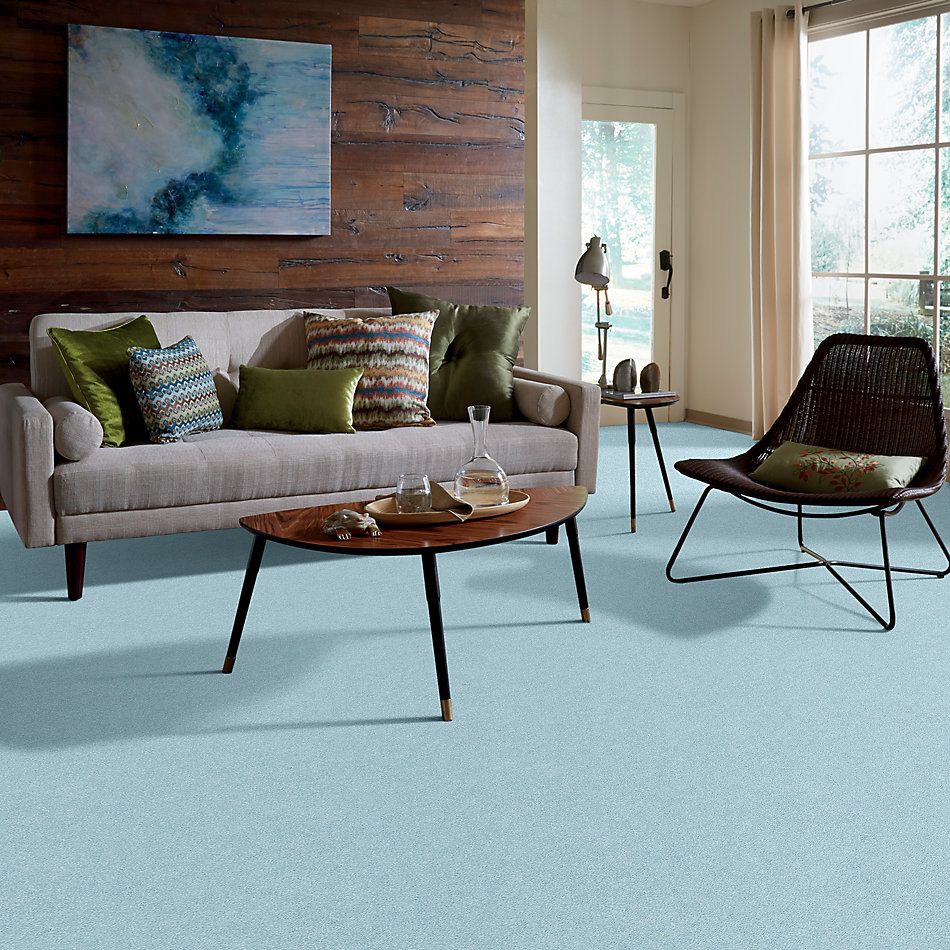 Shaw Floors SFA Fyc Ns Blue Net Winter Sky (s) 437S_5E020