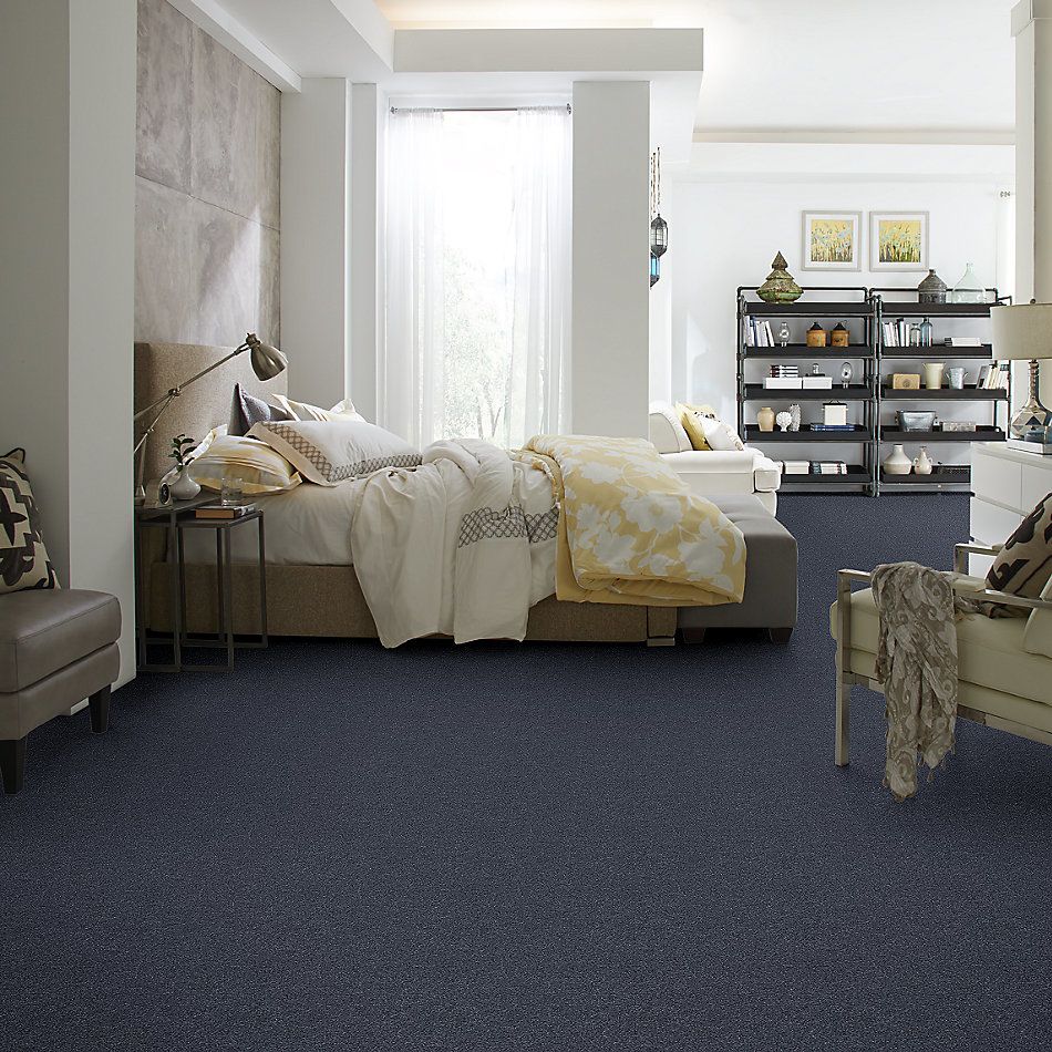 Shaw Floors SFA Fyc Ns II Net Washed Indigo (s) 440S_5E019
