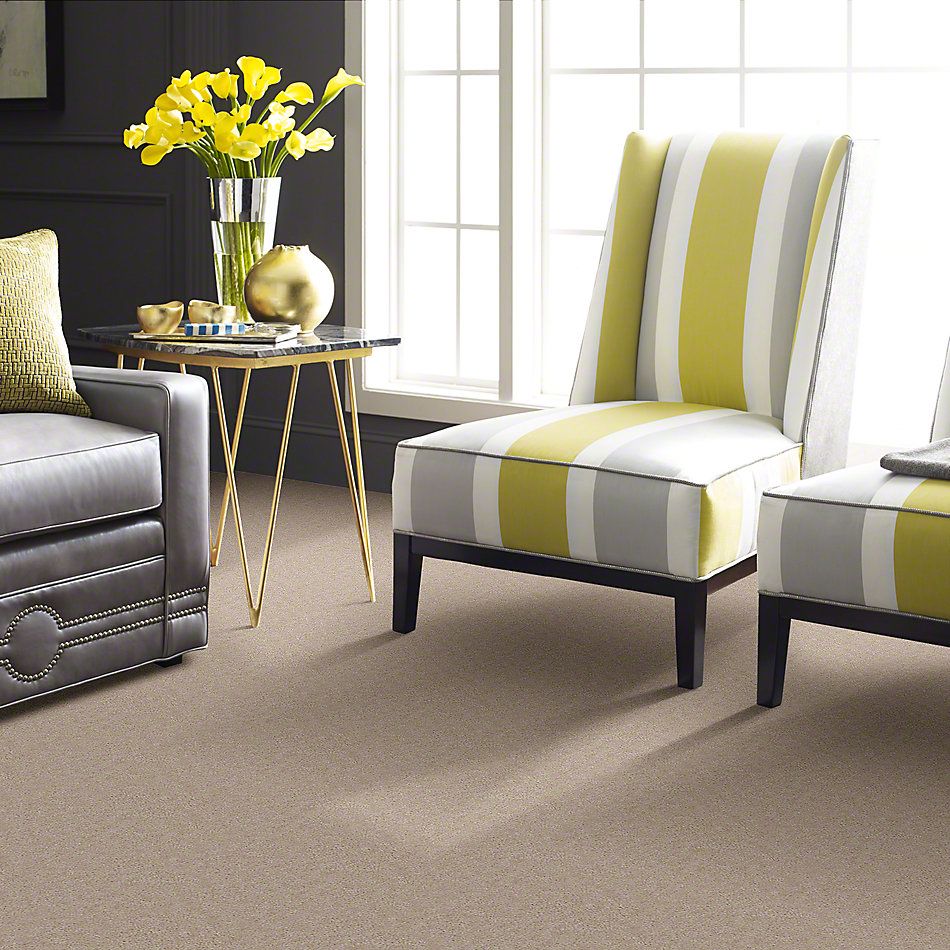 Shaw Floors Cascade II Frosty Taupe 52350_50102