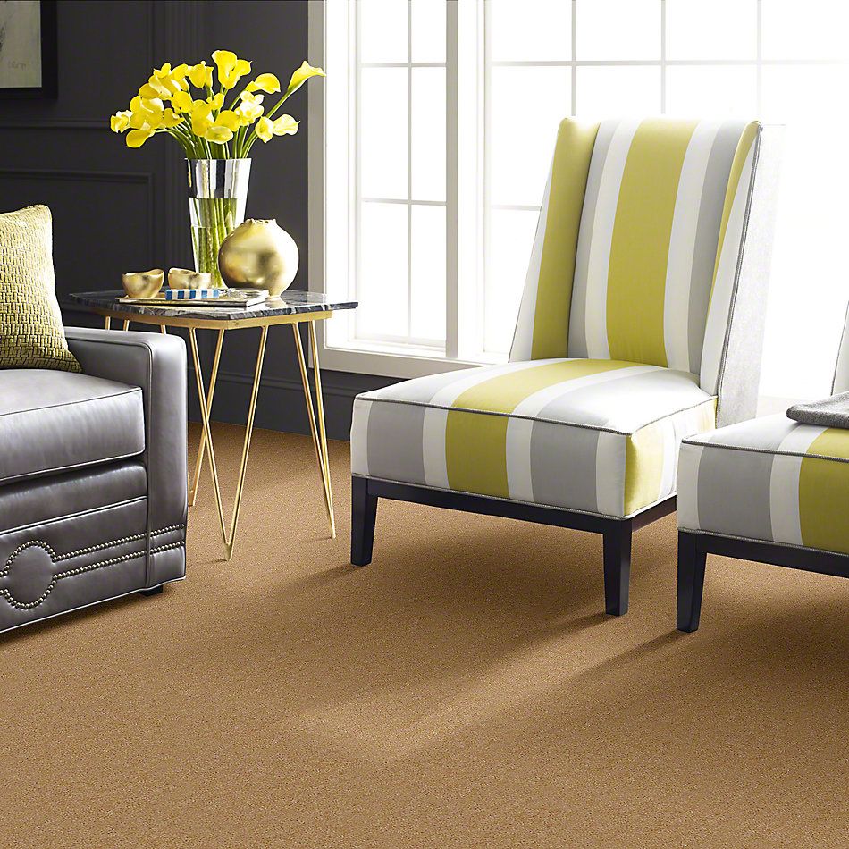 Shaw Floors Cascade II Buckwheat 52350_50103