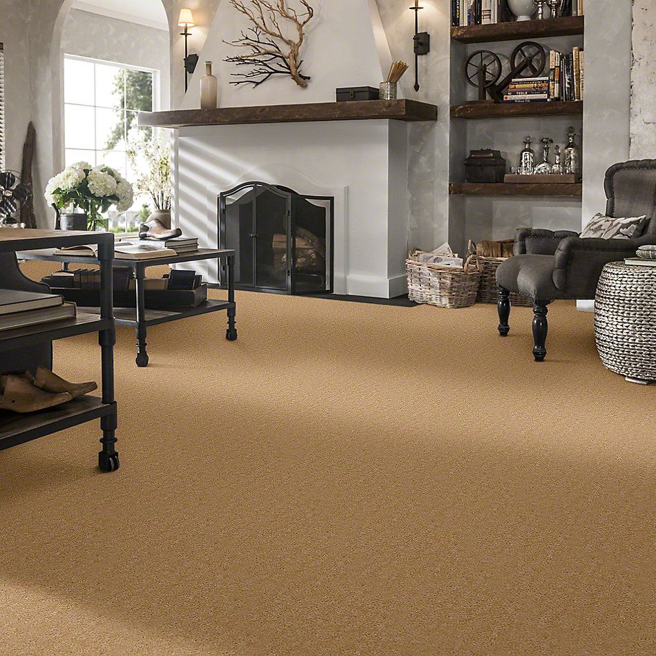 Shaw Floors Cascade II Buckwheat 52350_50103