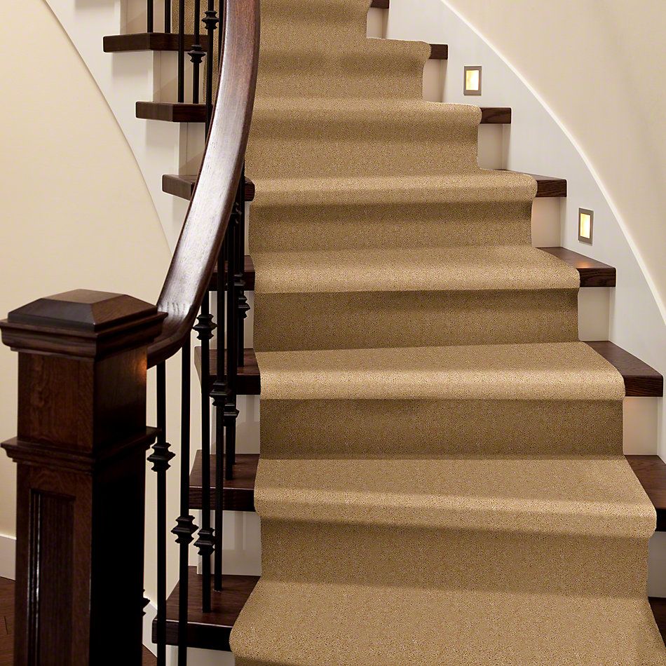 Shaw Floors Cascade II Buckwheat 52350_50103