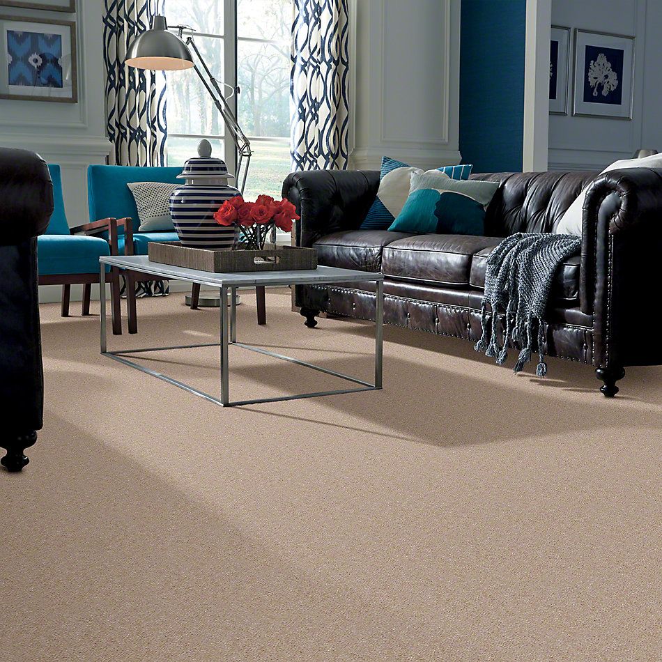 Shaw Floors Cascade II Heather 52350_50104