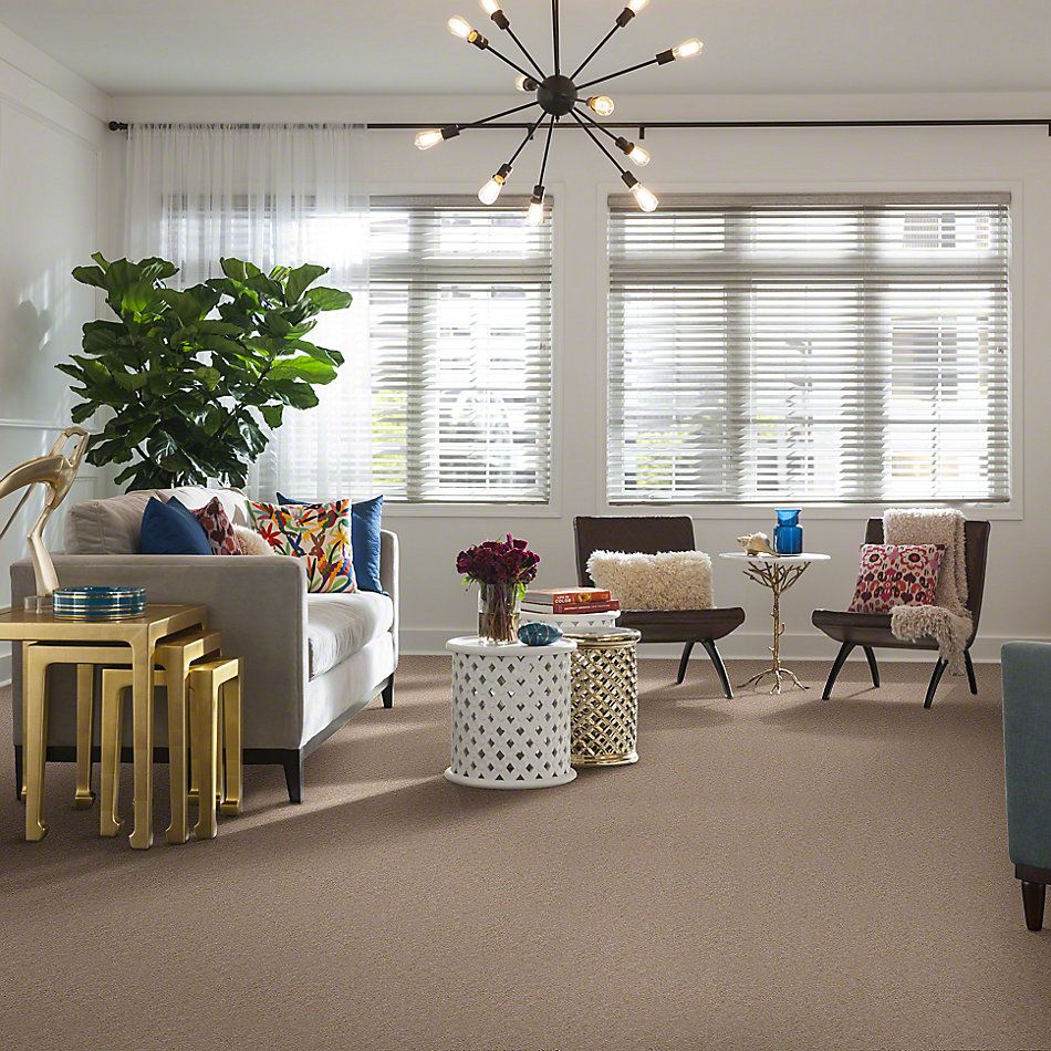Shaw Floors Cascade II Heather 52350_50104