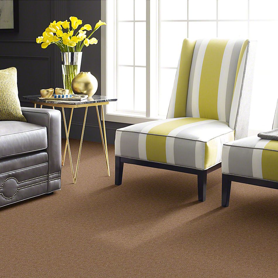 Shaw Floors Cascade II Tree Trunk 52350_50105
