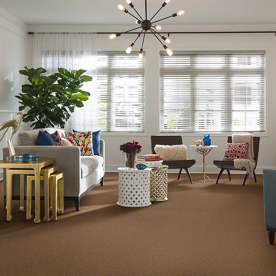 Shaw Floors Cascade II Tree Trunk 52350_50105