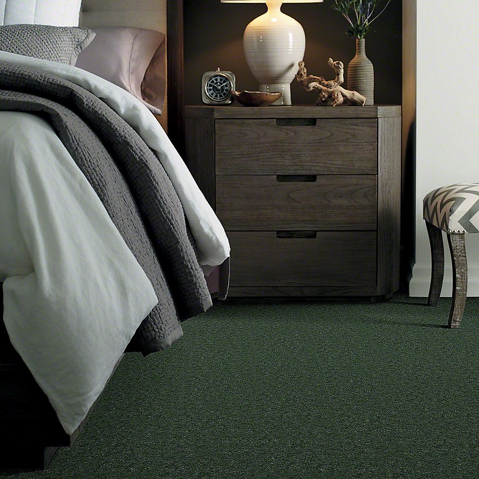 Shaw Floors Cascade II Ivy Trellis 52350_50301