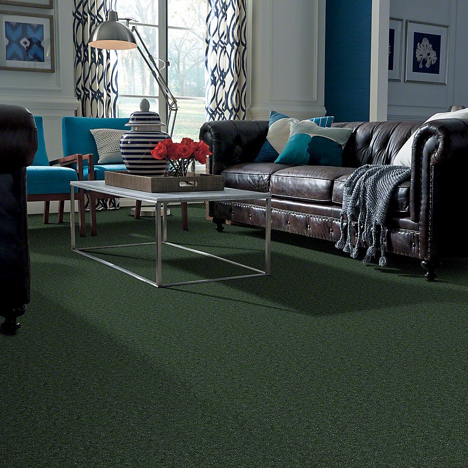 Shaw Floors Cascade II Ivy Trellis 52350_50301