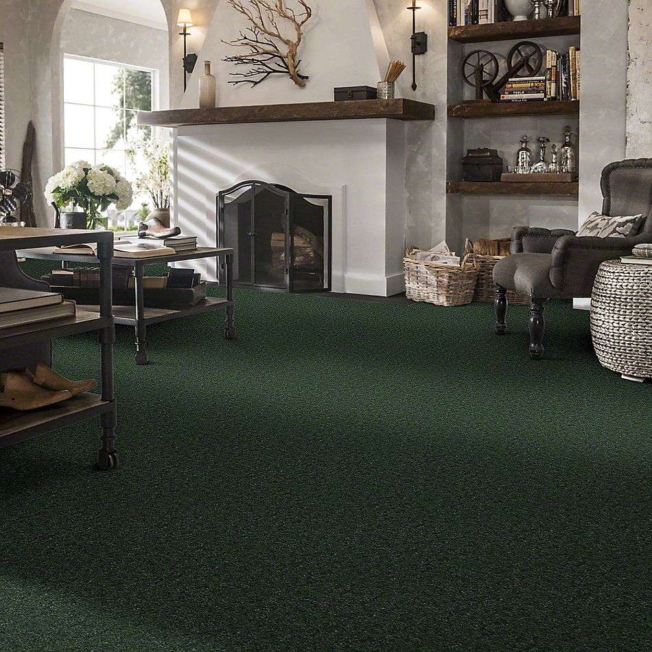 Shaw Floors Cascade II Ivy Trellis 52350_50301