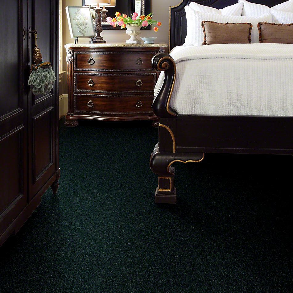 Shaw Floors Cascade II Emerald Stone 52350_50302