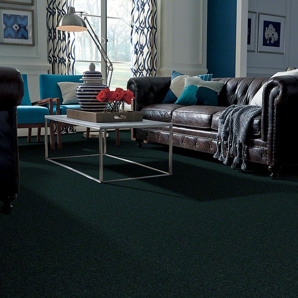 Shaw Floors Cascade II Emerald Stone 52350_50302