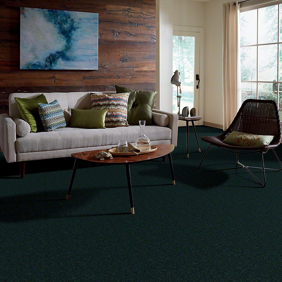 Shaw Floors Cascade II Emerald Stone 52350_50302