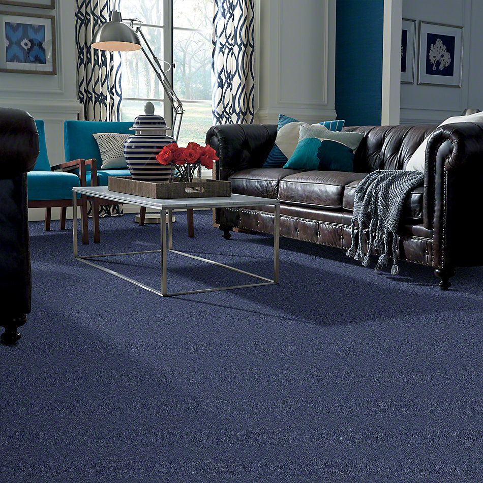 Shaw Floors Cascade II Waterslide 52350_50400