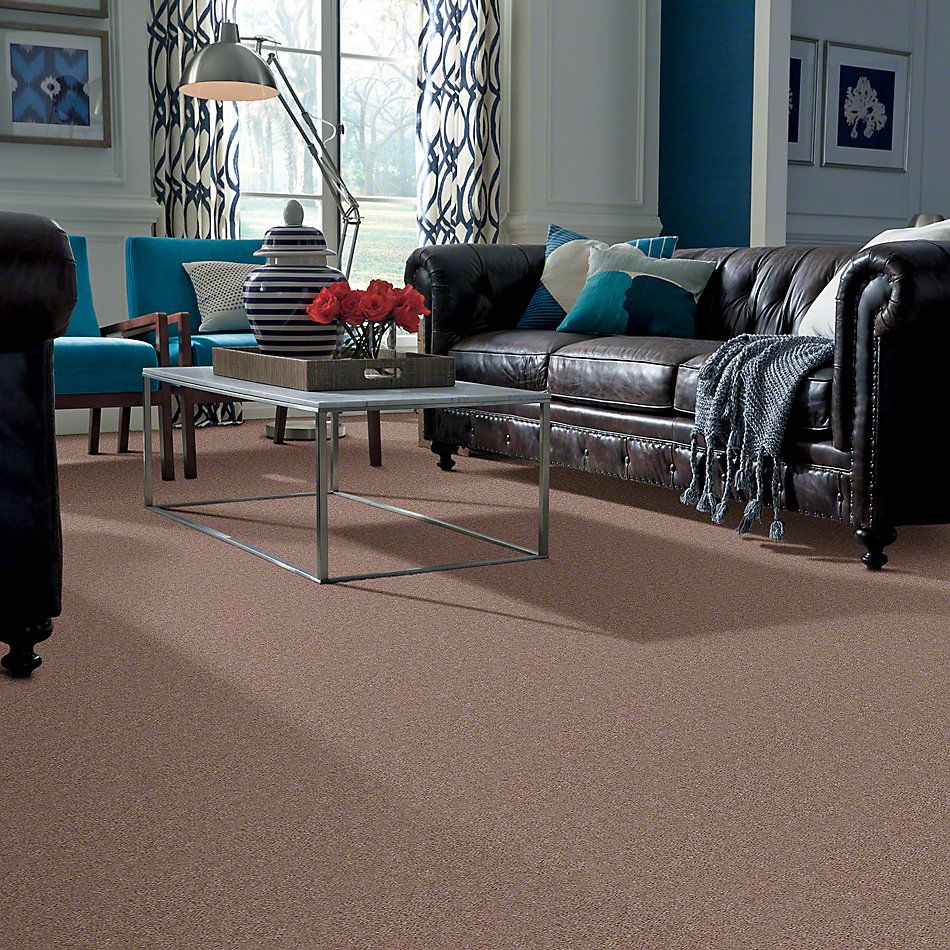 Shaw Floors Cascade II Willow 52350_50700