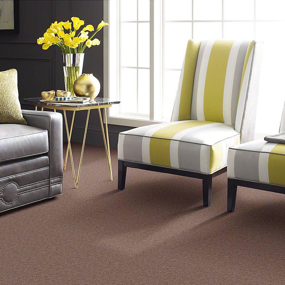Shaw Floors Cascade II Willow 52350_50700