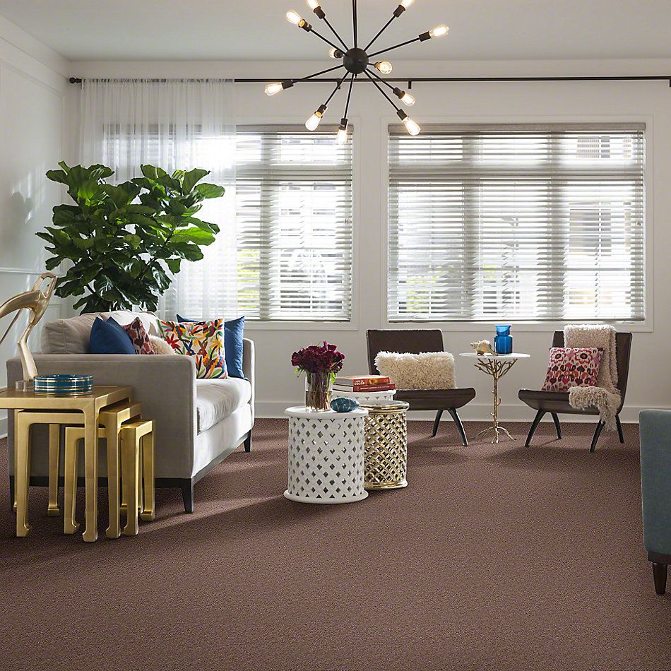 Shaw Floors Cascade II Willow 52350_50700