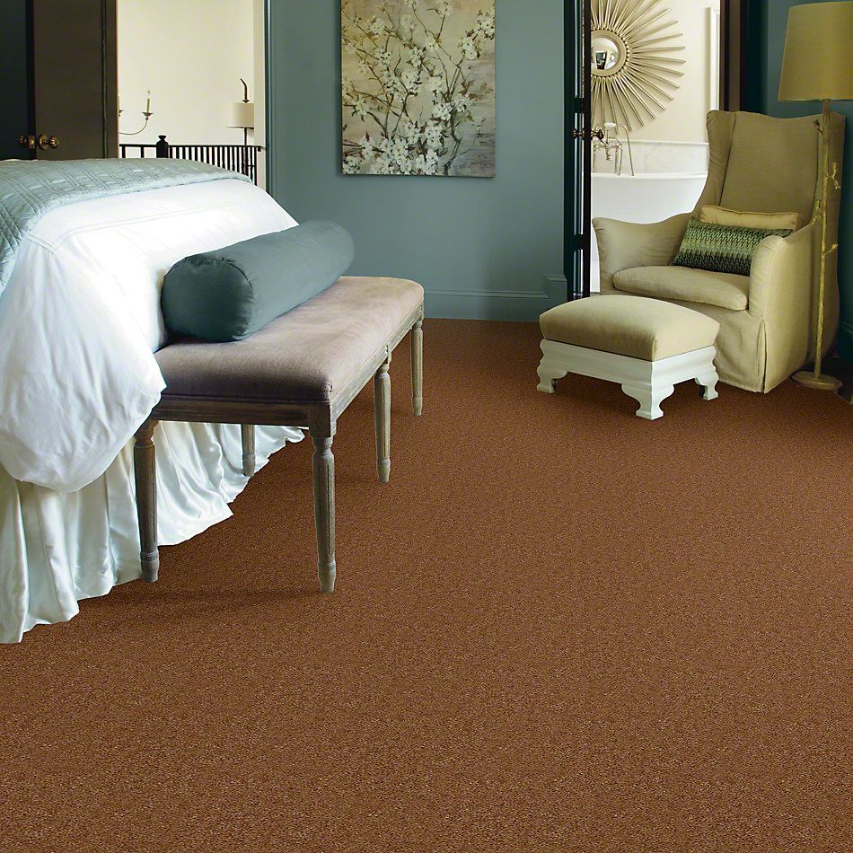 Shaw Floors Cascade II Grand Canyon 52350_50701