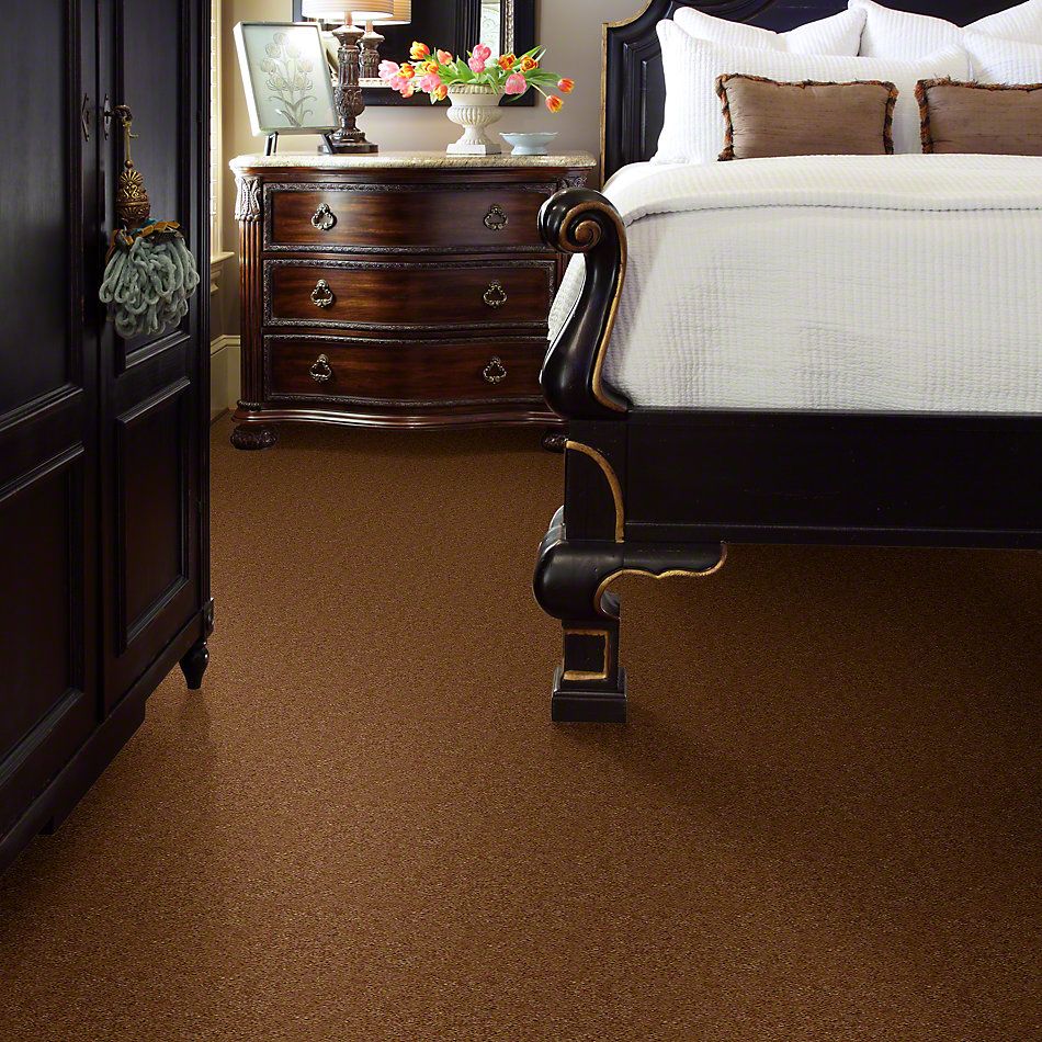 Shaw Floors Cascade II Grand Canyon 52350_50701