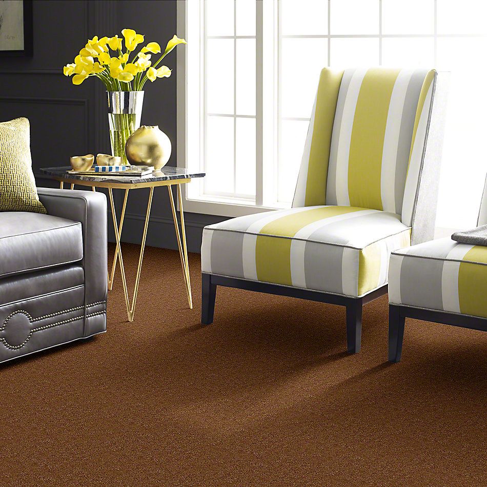 Shaw Floors Cascade II Grand Canyon 52350_50701