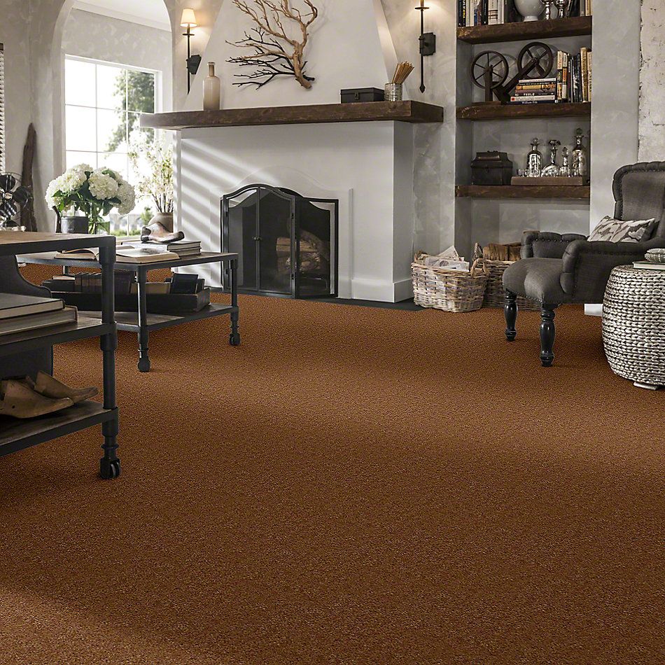 Shaw Floors Cascade II Grand Canyon 52350_50701