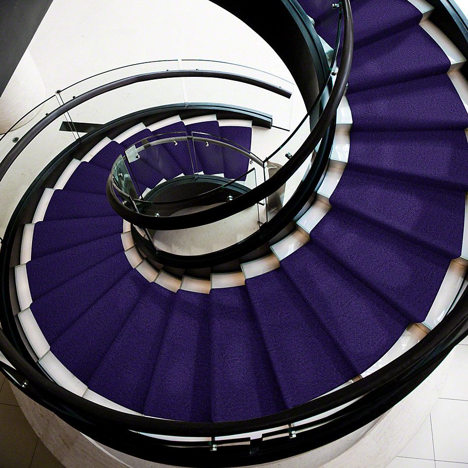 Shaw Floors Cascade II Purple Reign 52350_50905