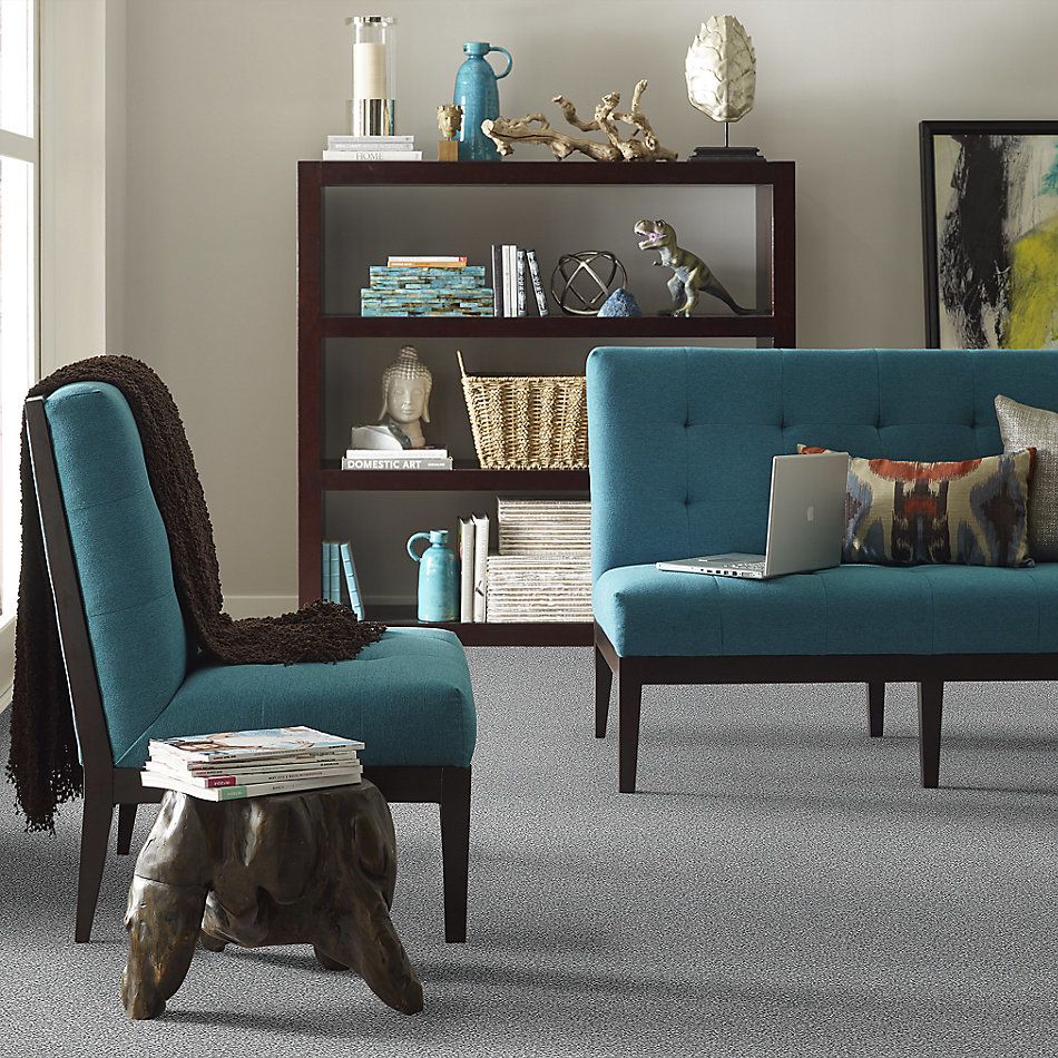Shaw Floors SFA Fyc Tt I Net Dolphin Sighting (t) 510T_5E021