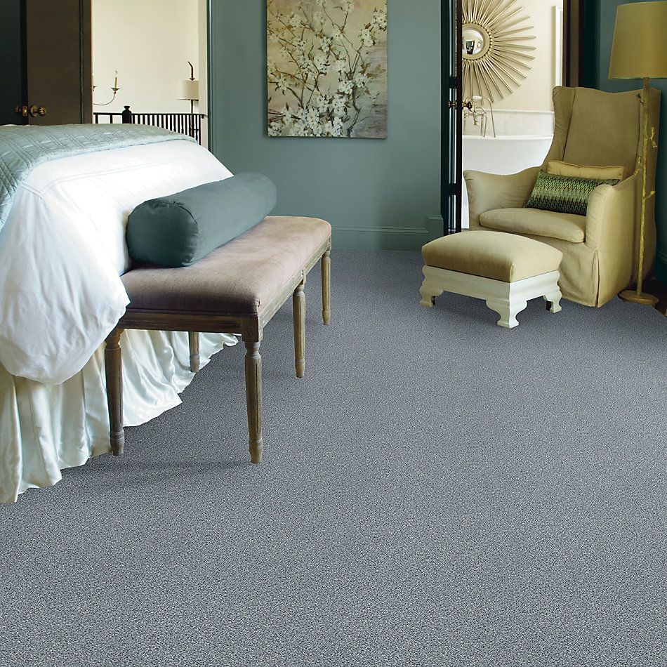 Shaw Floors SFA Fyc Tt Blue Net Dolphin Sighting (t) 510T_5E023