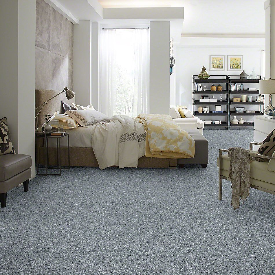 Shaw Floors SFA Find Your Comfort Tt Blue Dolphin Sighting (t) 510T_EA819