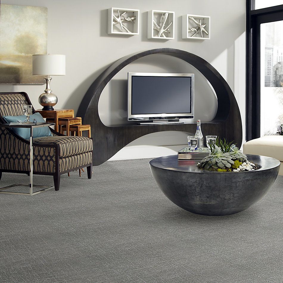 Shaw Floors SFA Creating Memories Net Restful Day 512P_5E027
