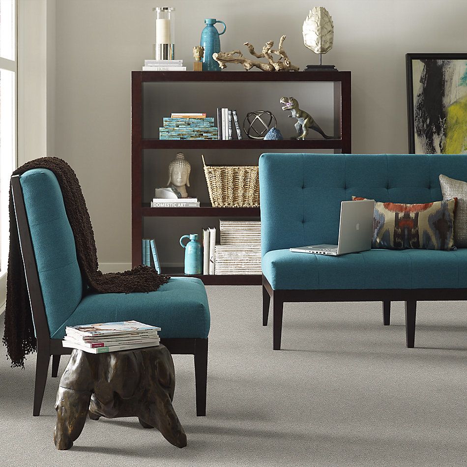 Shaw Floors SFA Fyc Ns II Net Restful Day (s) 512S_5E019