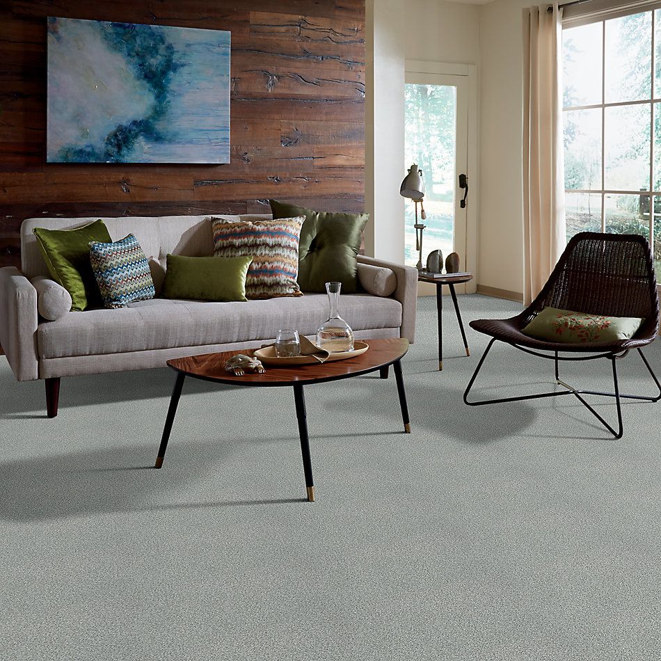 Shaw Floors SFA Fyc Tt II Net Restful Day (t) 512T_5E022