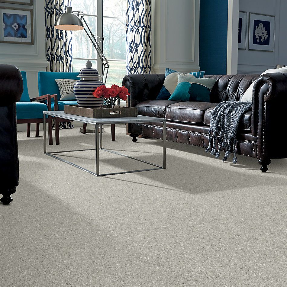 Shaw Floors SFA Fyc Ns II Net Refreshed (s) 515S_5E019