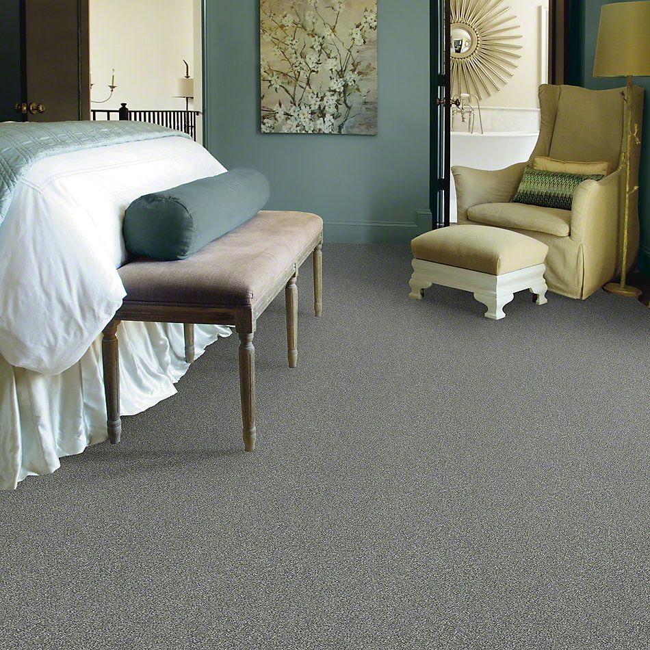 Shaw Floors Simply The Best Attainable Arctic Shadow 521T_E9965